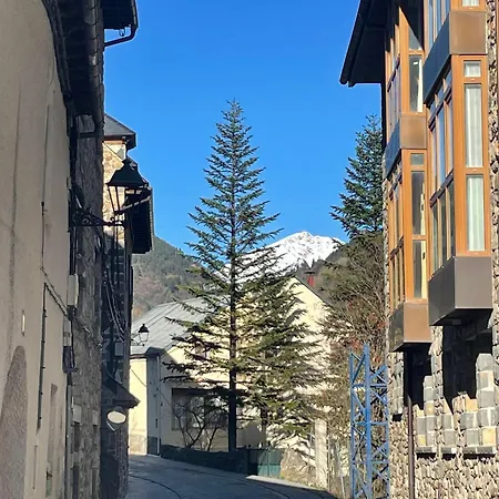 Calmfranc Atico Abuhardillado Con Vistas Al Rio Y La Montana Avistamiento De Ciervos En Canfranc Pueblo Exterior photo