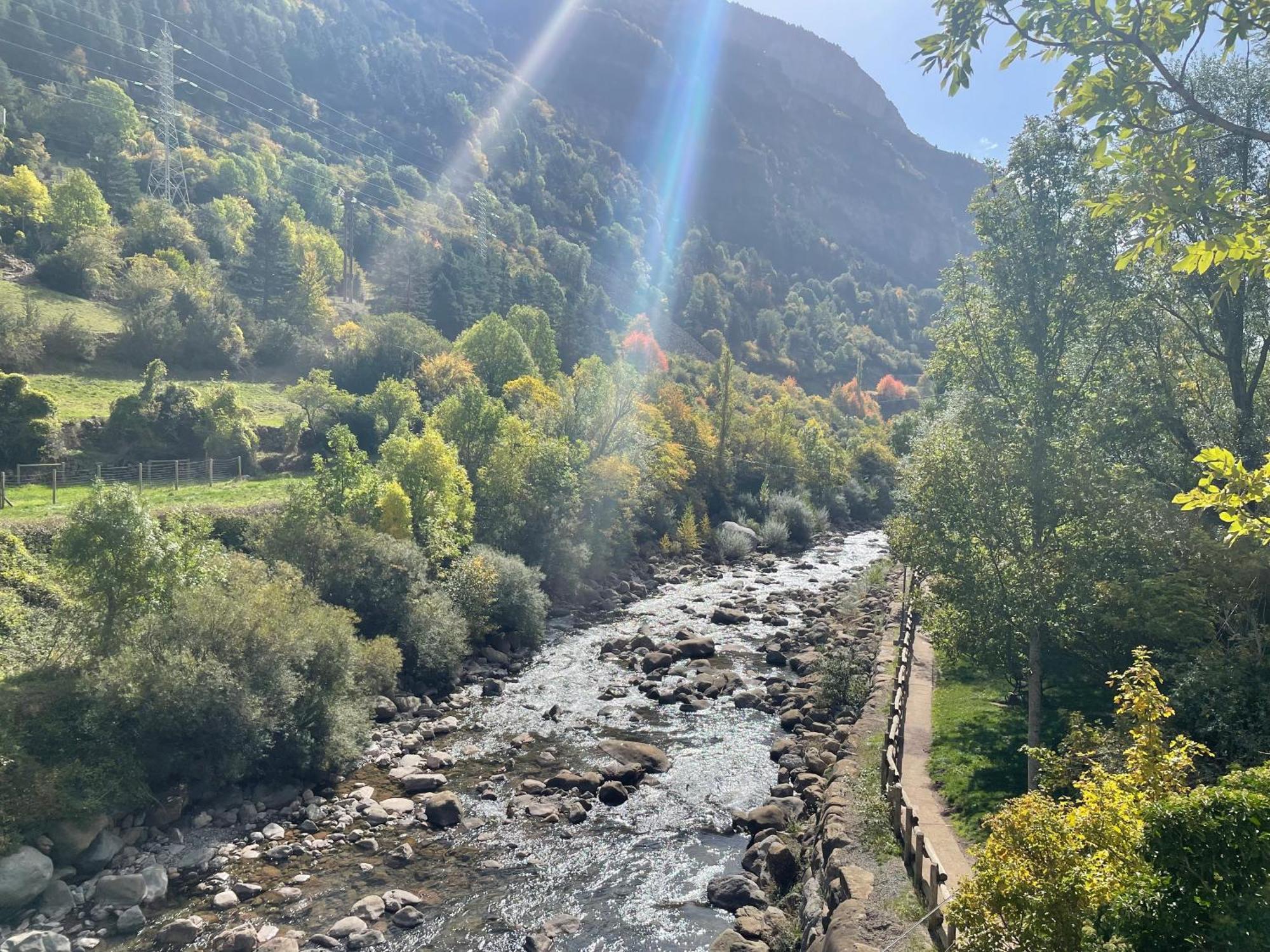 Calmfranc Atico Abuhardillado Con Vistas Al Rio Y La Montana Avistamiento De Ciervos En Pueblo *